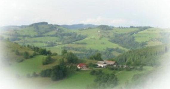 Gasthof Koglerhof Ternberg Luaran gambar